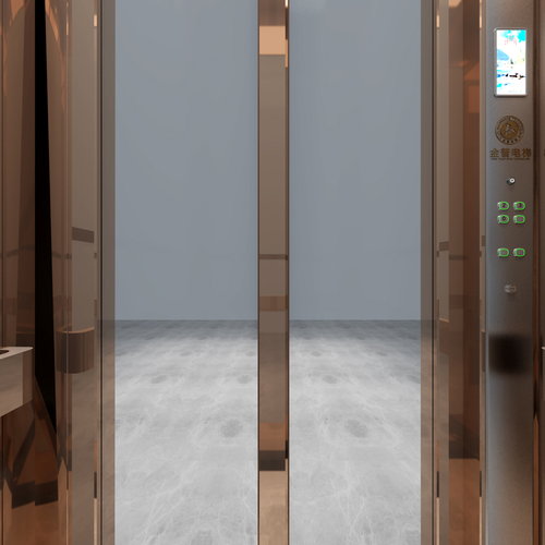 矩形偏开自动门家用电梯