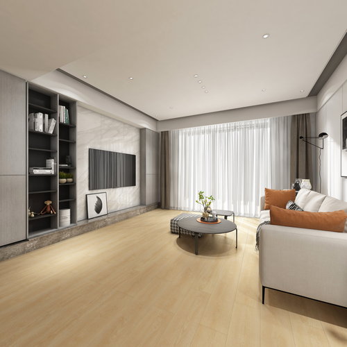 天禧地板全景体验