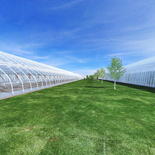 蔬菜植物大棚全景