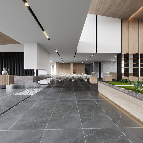 威森效果图-小霞