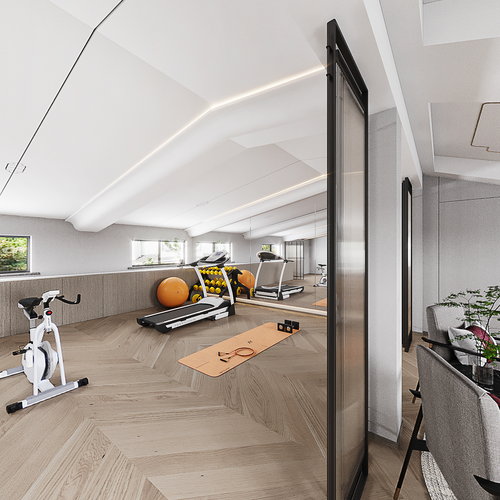 现代家装健身房全景3d模型