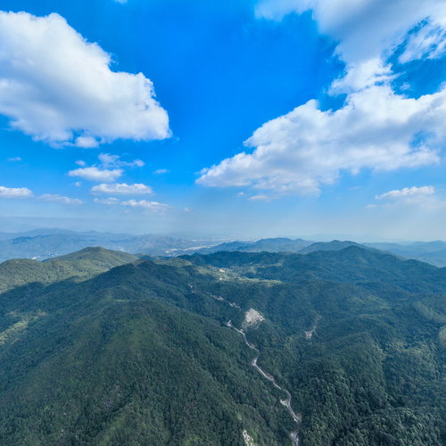 田东世田VR