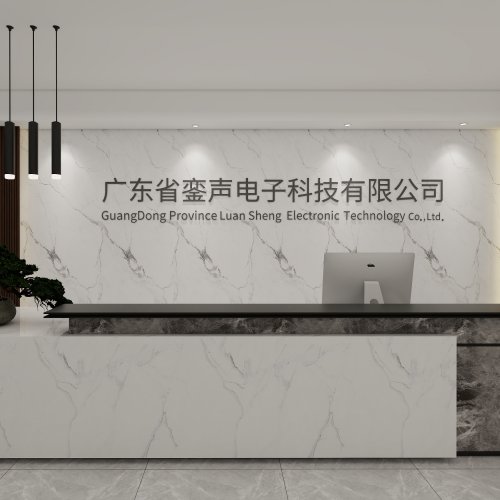 广东省銮声电子科技有限公司